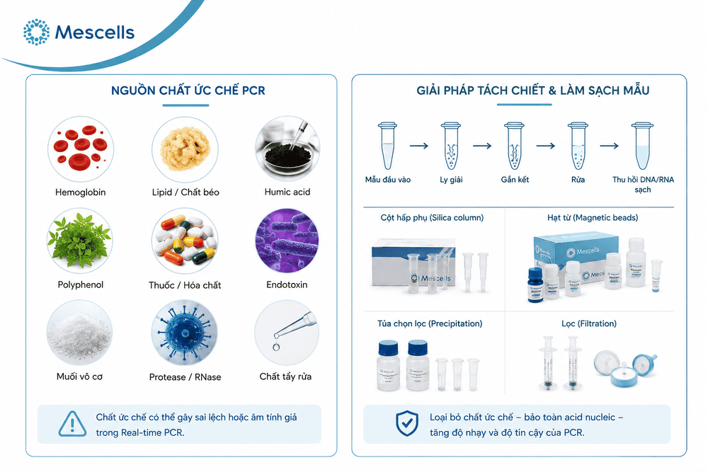 Các nguồn chất ức chế PCR và giải pháp tách chiết làm sạch mẫu phân tử
