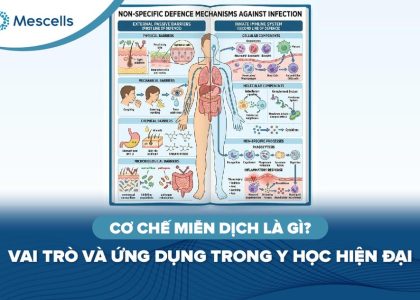 Cơ chế miễn dịch là gì-01
