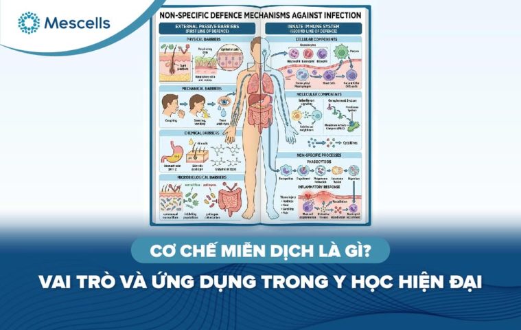 Cơ chế miễn dịch là gì-01