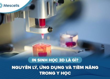 In sinh học 3D là gì-01