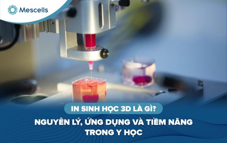 In sinh học 3D là gì-01
