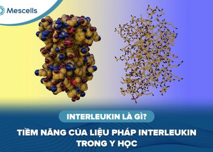 Interleukin là gì-01