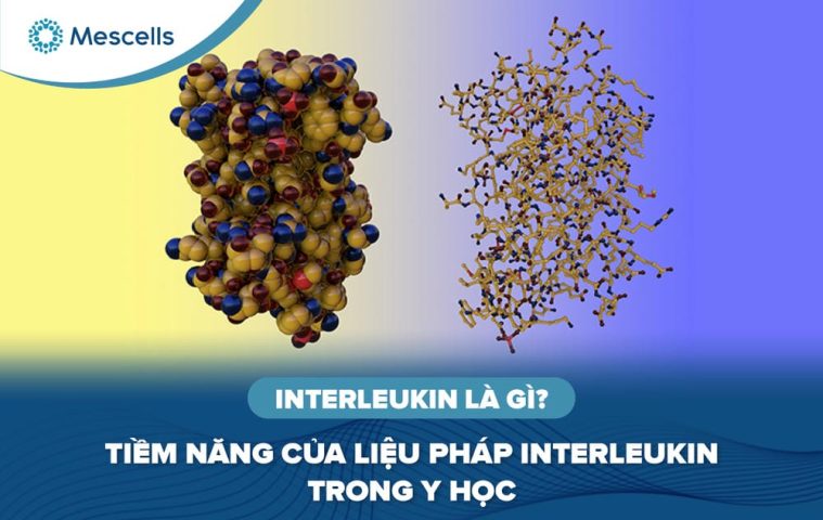 Interleukin là gì-01