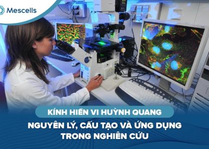 Kính hiển vi huỳnh quang-01