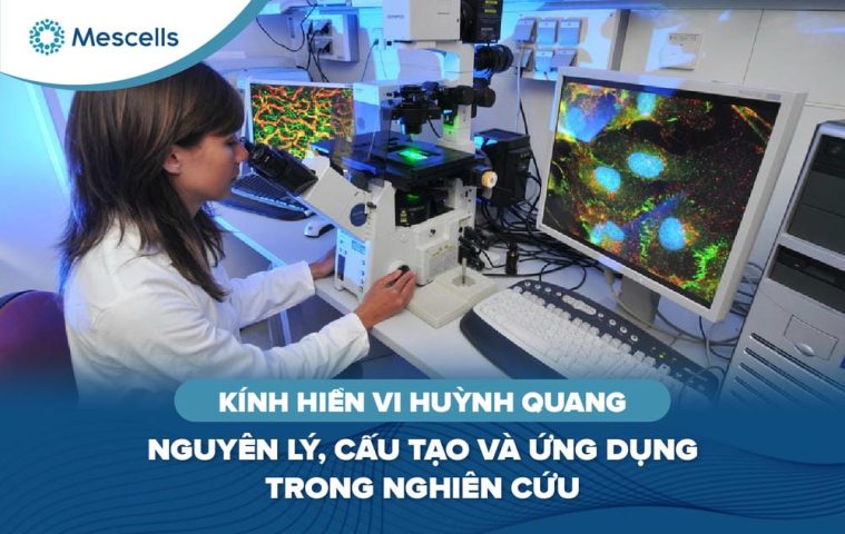 Kính hiển vi huỳnh quang-01