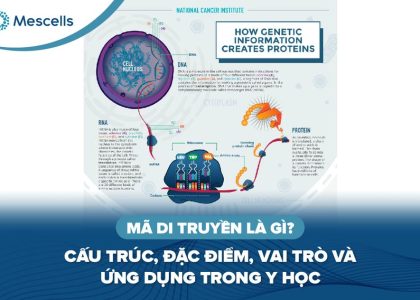 Mã di truyền là gì-01