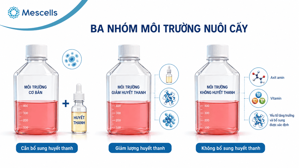Môi trường nuôi cấy tế bào-2