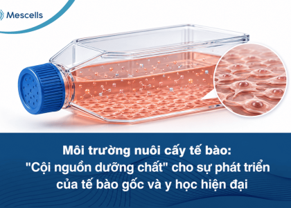 Môi trường nuôi cấy tế bào