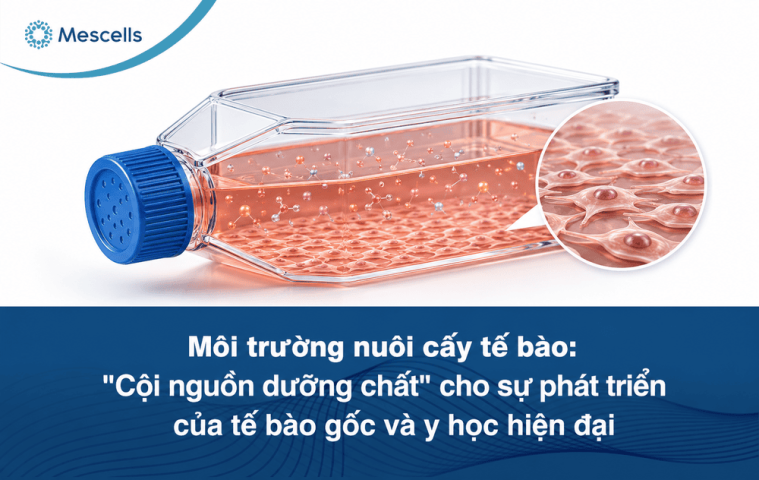 Môi trường nuôi cấy tế bào