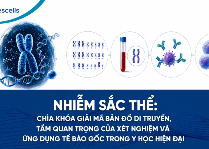 Nhiễm sắc thể
