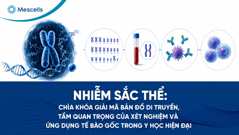 Nhiễm sắc thể