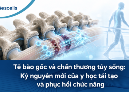 Tế bào gốc điều trị chấn thương tủy sống