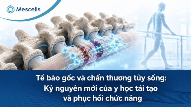 Tế bào gốc điều trị chấn thương tủy sống