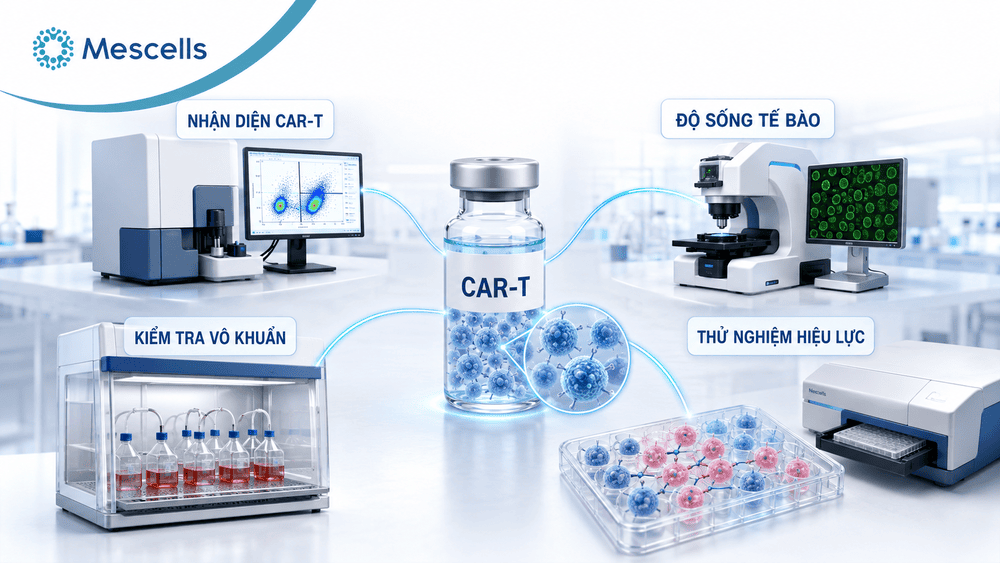 Tiêu chuẩn GMP trong sản xuất tế bào gốc-04