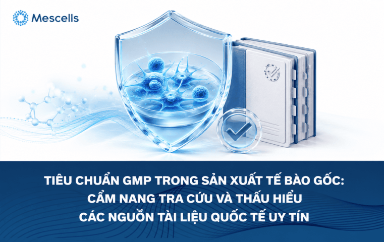 Tiêu chuẩn GMP trong sản xuất tế bào gốc
