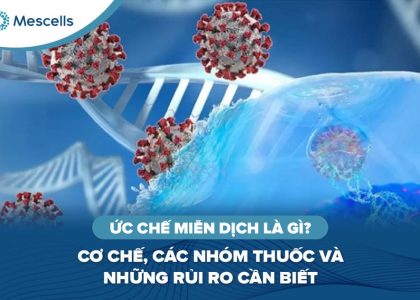 Ức chế miễn dịch là gì-01