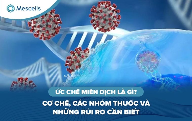 Ức chế miễn dịch là gì-01